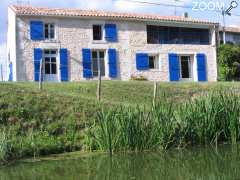 photo de la hulotte du marais poitevin 