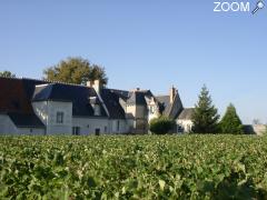 picture of DOMAINE DU CLOS DE L EPINAY