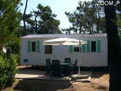 photo de CAMPING LES CHARDONS BLEUS