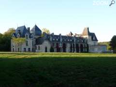 Foto Château de la Mothe en Poitou