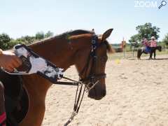 foto di LASER GAME à poney ou à pied